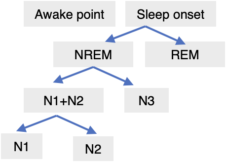 Diagram of Sleep Stage Detection